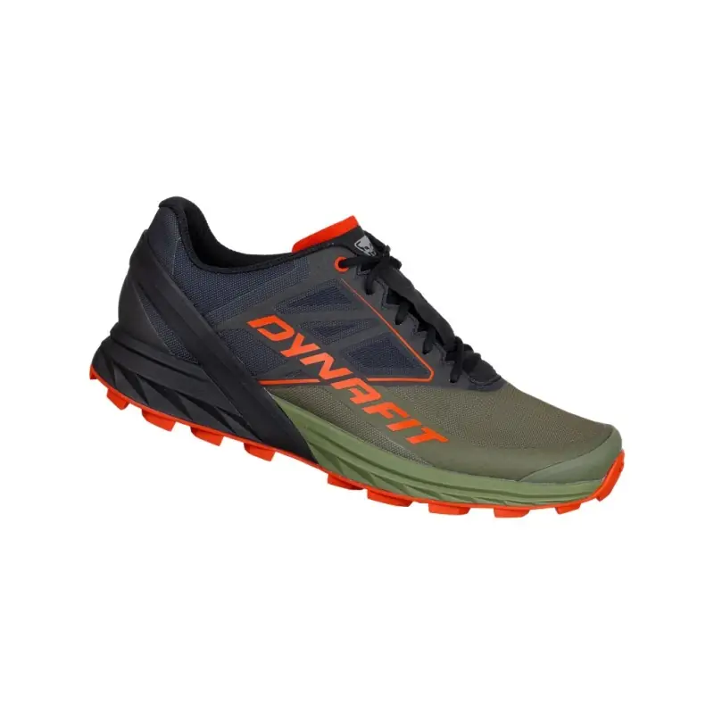 Výhodná Nabídka Dynafit boty Alpine Men, Winter Moss Black Out