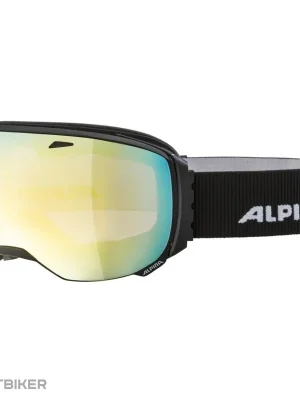 Nejprodávanější ALPINA BIG HORN QVM brýle, black matt/gold sph