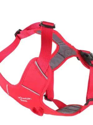 Vysoce Kvalitní Postroj pro psy Mountain Paws s polstrováním, velký, červený