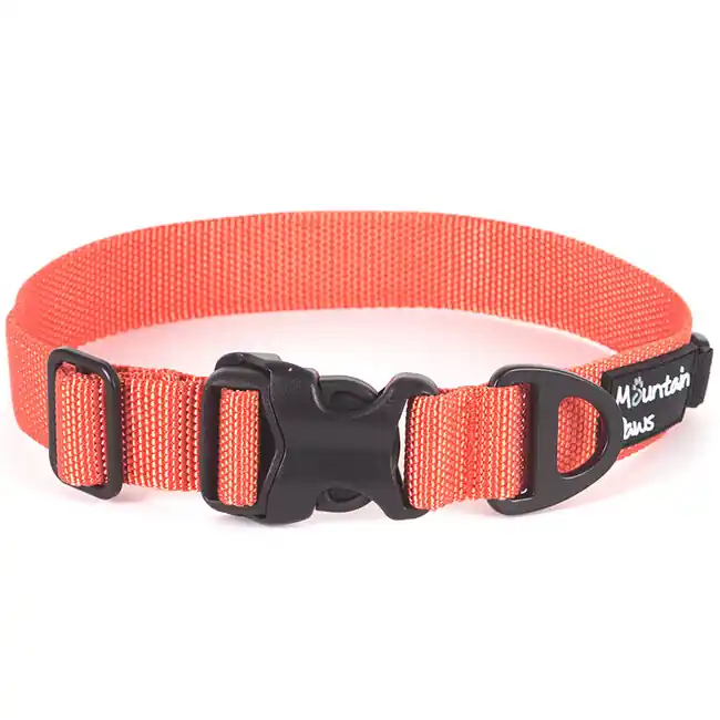 Ihned K Objednání Obojek pro psy Mountain Paws malý, oranžový