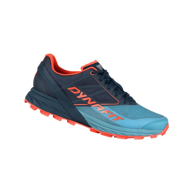 Výprodej Dynafit Alpine pánské boty storm blue/blueberry 40 EU