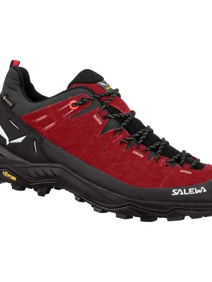 Bezpečná Platba Salewa Alp Trainer 2 GTX W Syrah/Black 40 EU