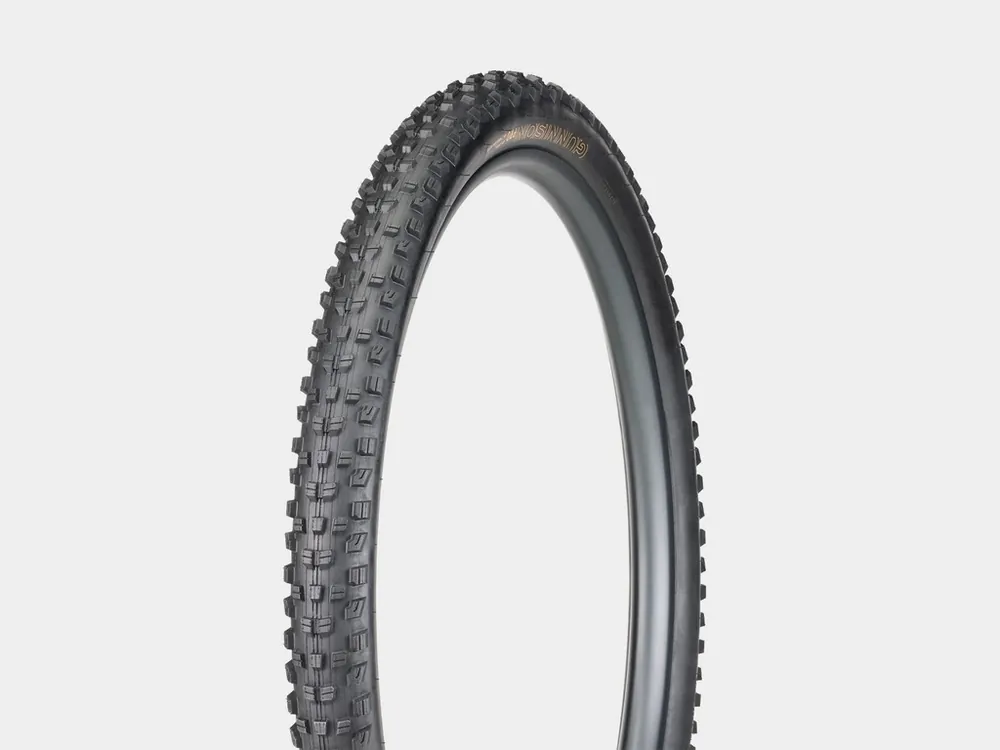 Akce Plášť Bontrager Gunnison RSL PRO XR 29x2,6 TLR