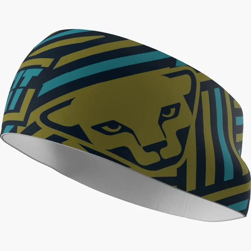 Dynafit Graphic Performance Headband UNI zelená/modrá Nízká Cena