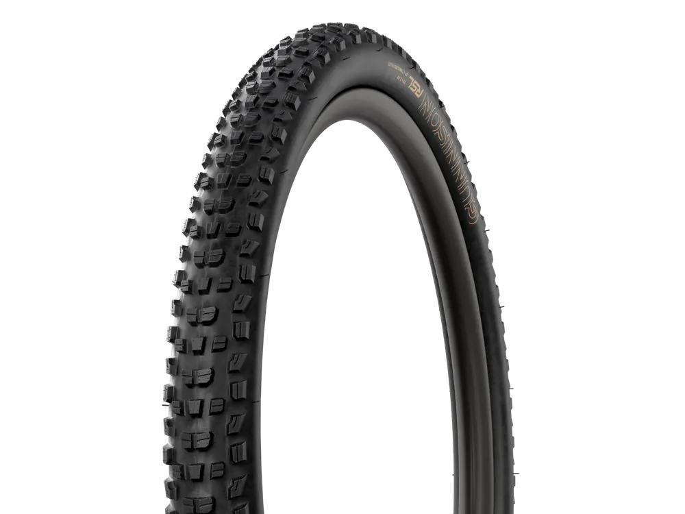 Odeslání Ihned MTB plášť Bontrager Gunnison RSL XT TLR černá
